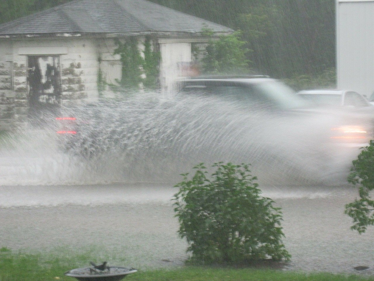 Flood In Olympia